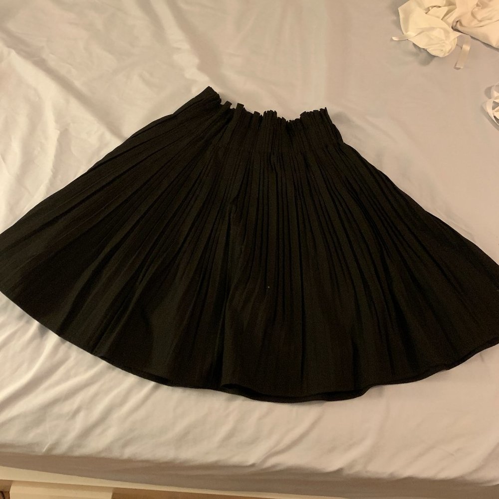 Zara Pleated Mini High Waist A-line Skirt
